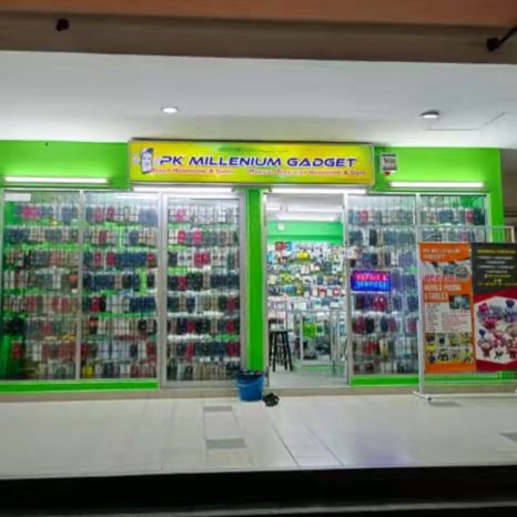 pkmilleniumgadget2125