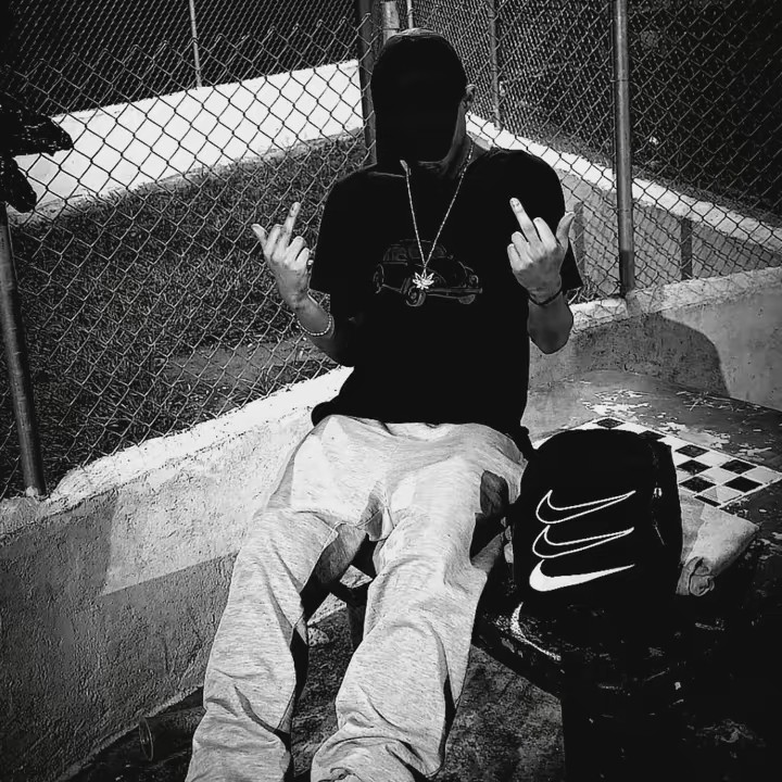 ZEUS, THE PITBULL 🎙️