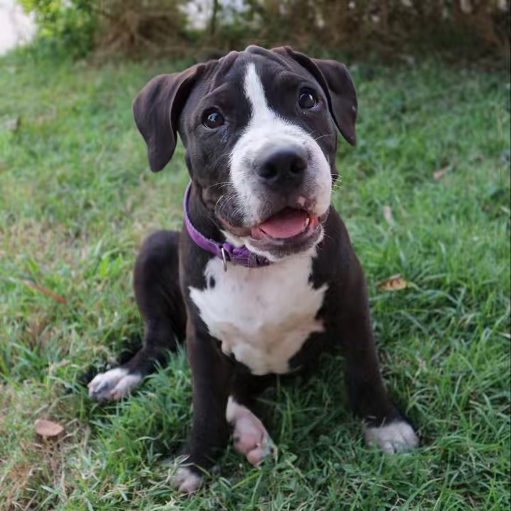 ยู่ยี่ที่ชอบรีวิว