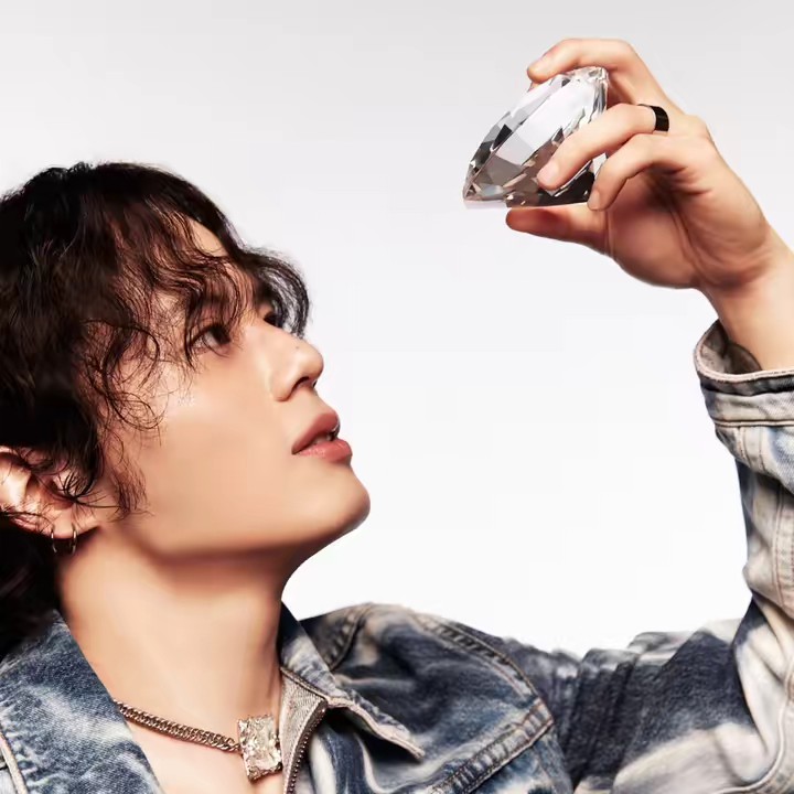 🤍ALBERT(알버트)🤍