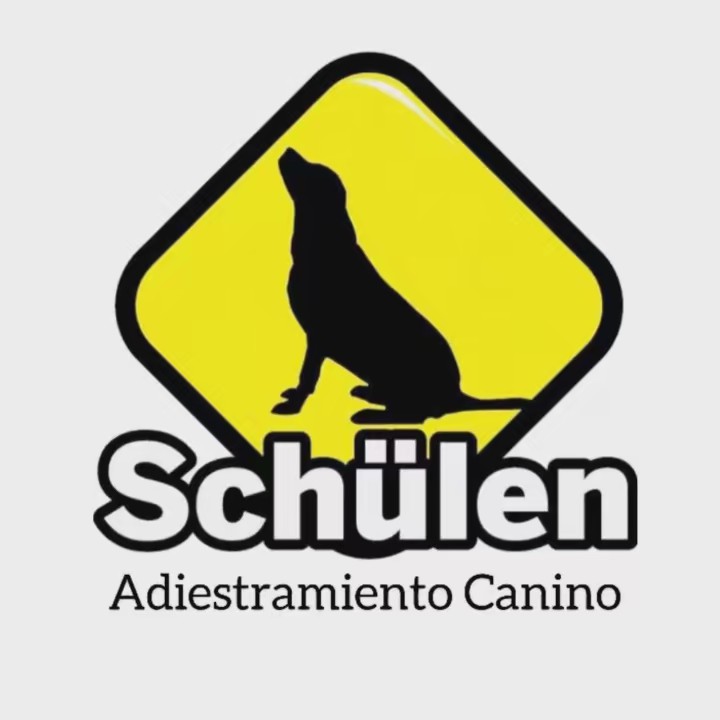 Schulen Adiestramiento Canino