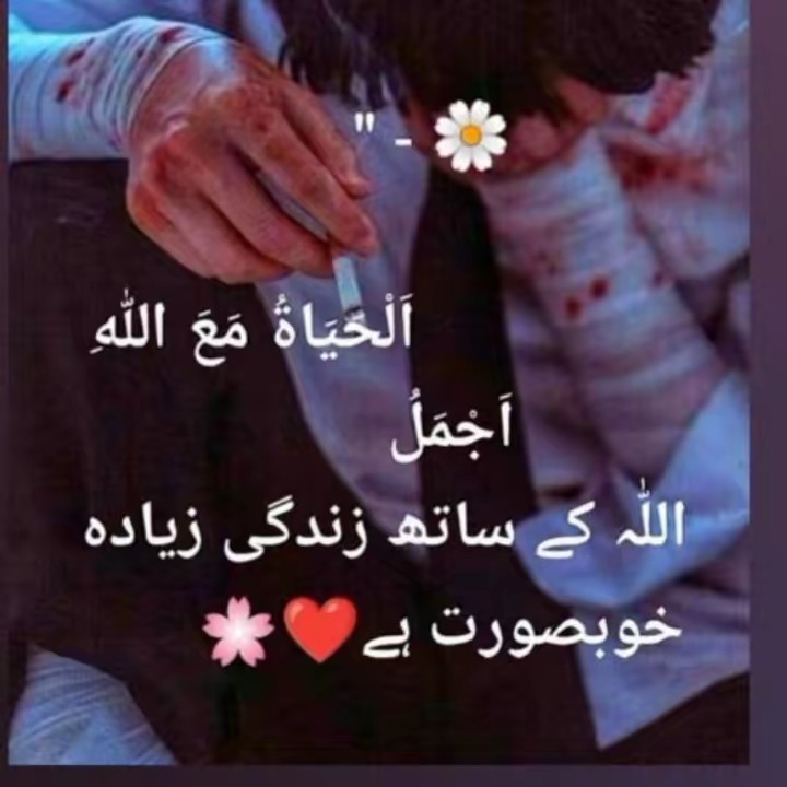 SHANZAL haider🇮🇹