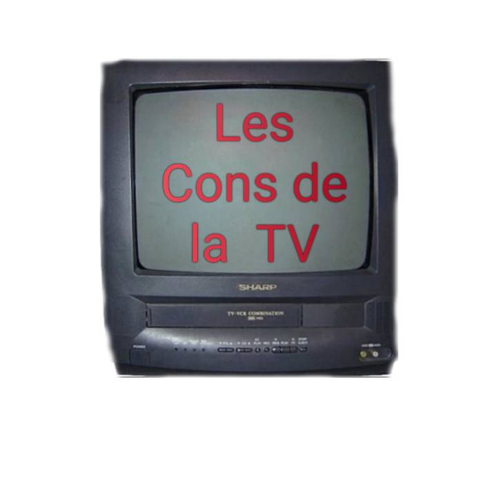 les cons de la TV
