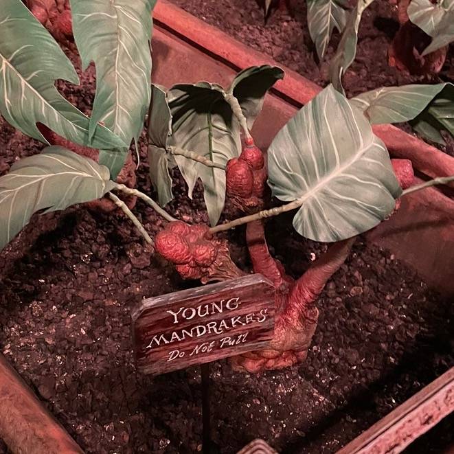 relaxing.diamond_caitlin