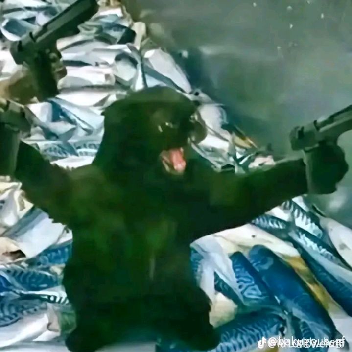 Gravity is in the house