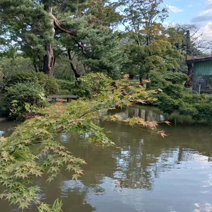 HanhLe lifelong learning