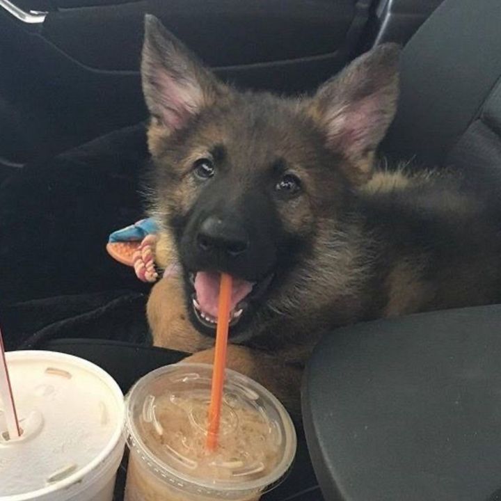 🎀 streber 🎃🍫/🌴🌈/🐁🌕/♿️🌈