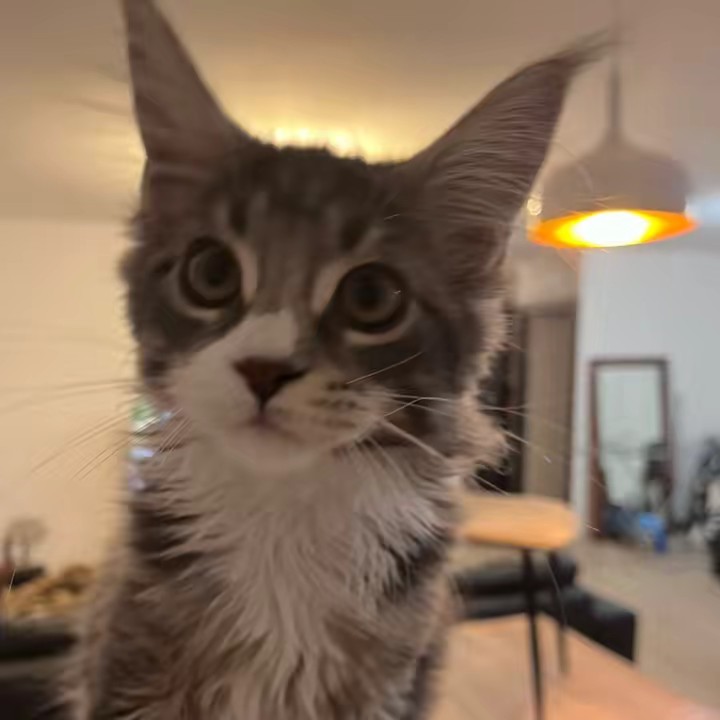 Ugo toujours en pleine forme