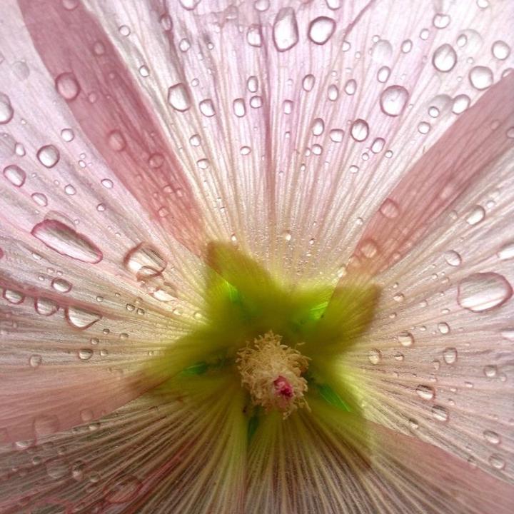 𝑀𝒶𝑒𝓋𝑒 🕯️