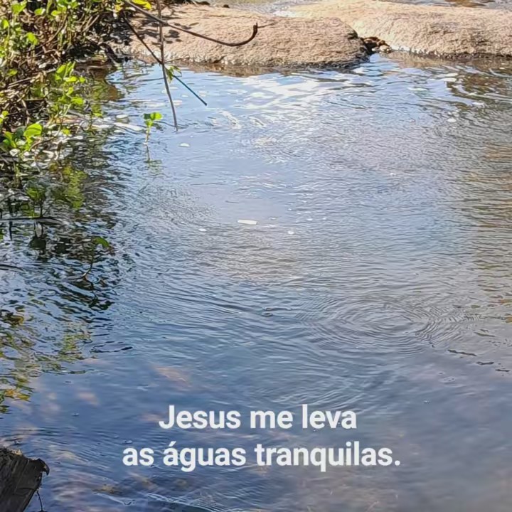 Maria do Perpetuo Socorro Arau