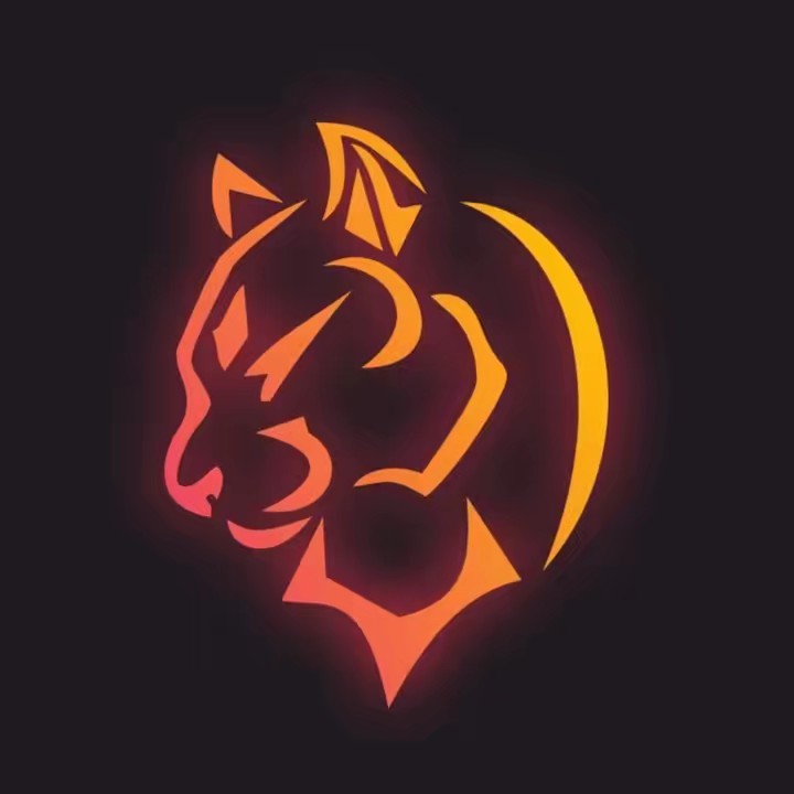 Wrapping cars Marrakech