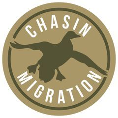 chasin.migration