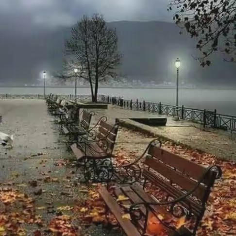 Glo🐻♥️🏳️‍🌈