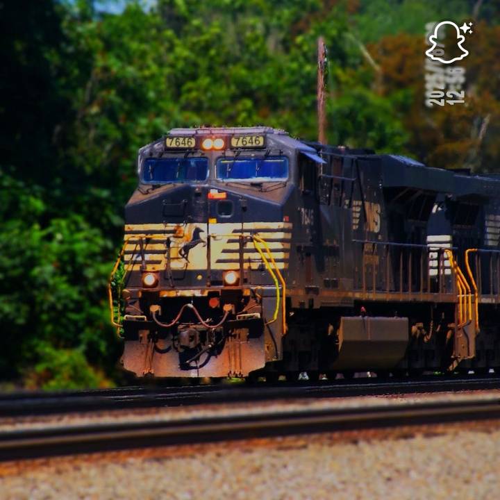 csx655🦆