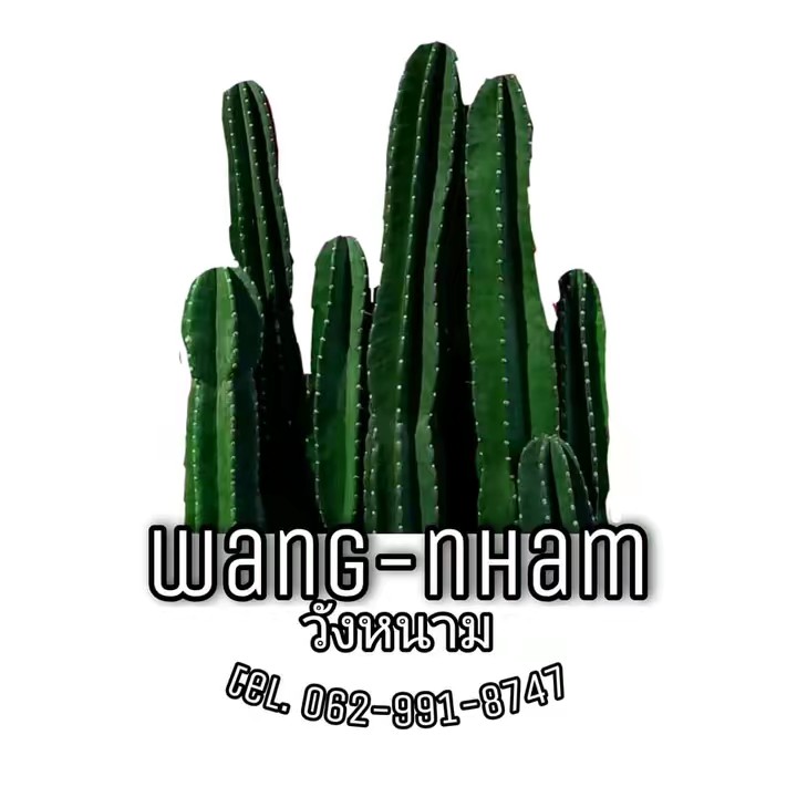 WangNham วังหนาม