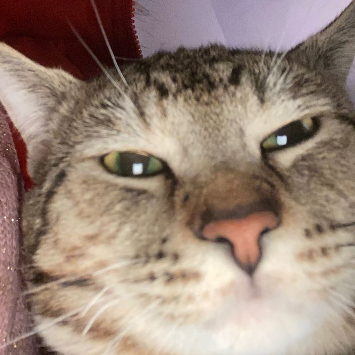 ❤️Angelzcake❤️