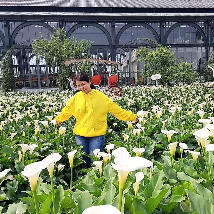 J_Petch สินค้าญี่ปุ่นนำเข้า