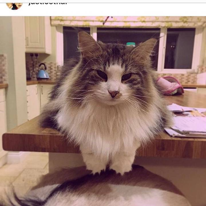 Anna- owner of Pixie