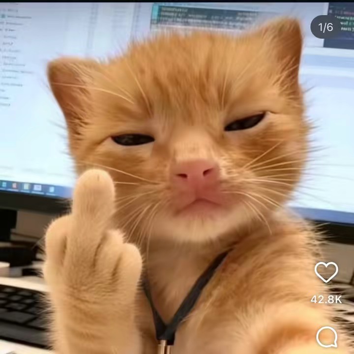 นะระนิววววว