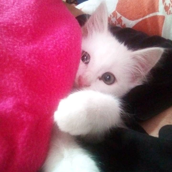 Namuri handmade gravina