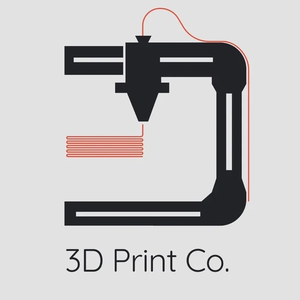 3d Print Co