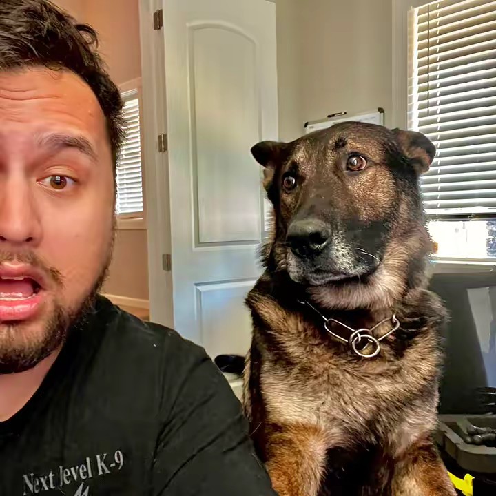 K9 Arlo