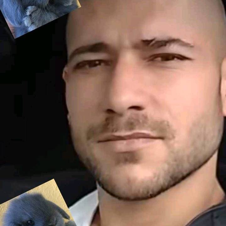 Toader și epurași meiii