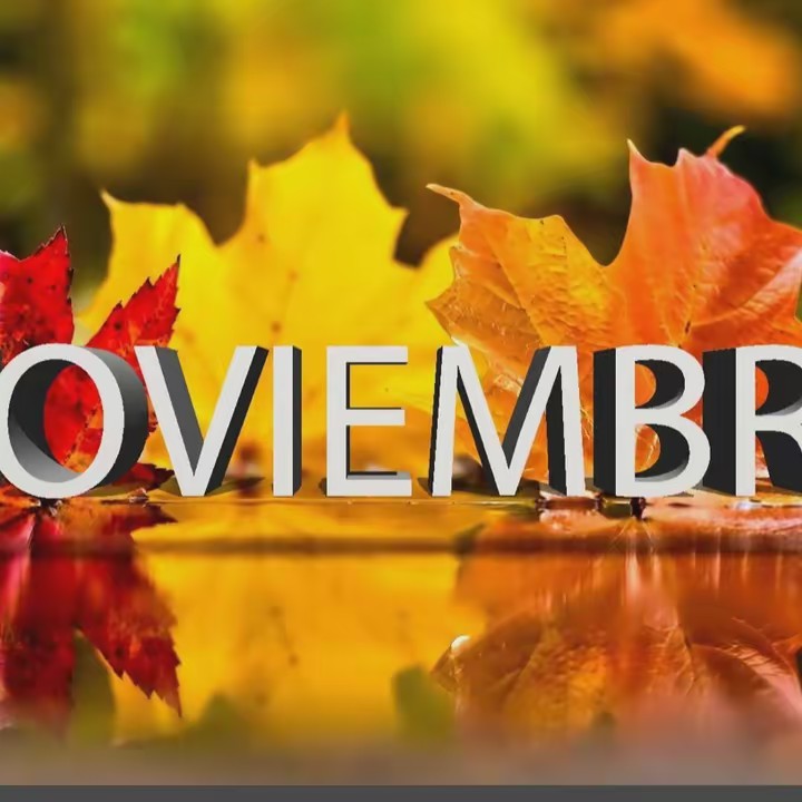 Cavazos Alanis 🌧️👍🇲🇽💚💚💚