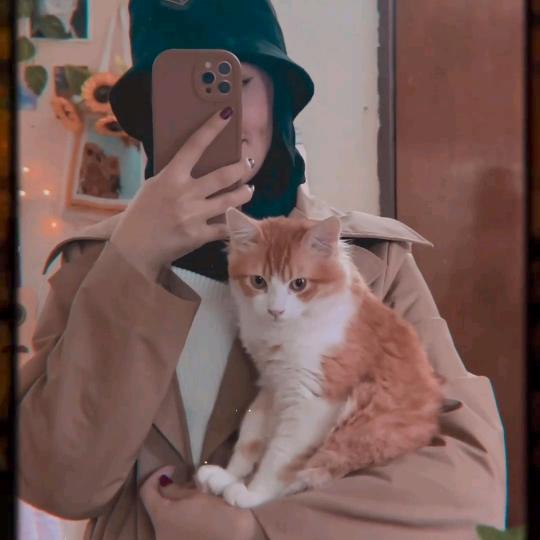 👑✿ℬ𝒰𝒮ℋℛ𝒜 ❀👑