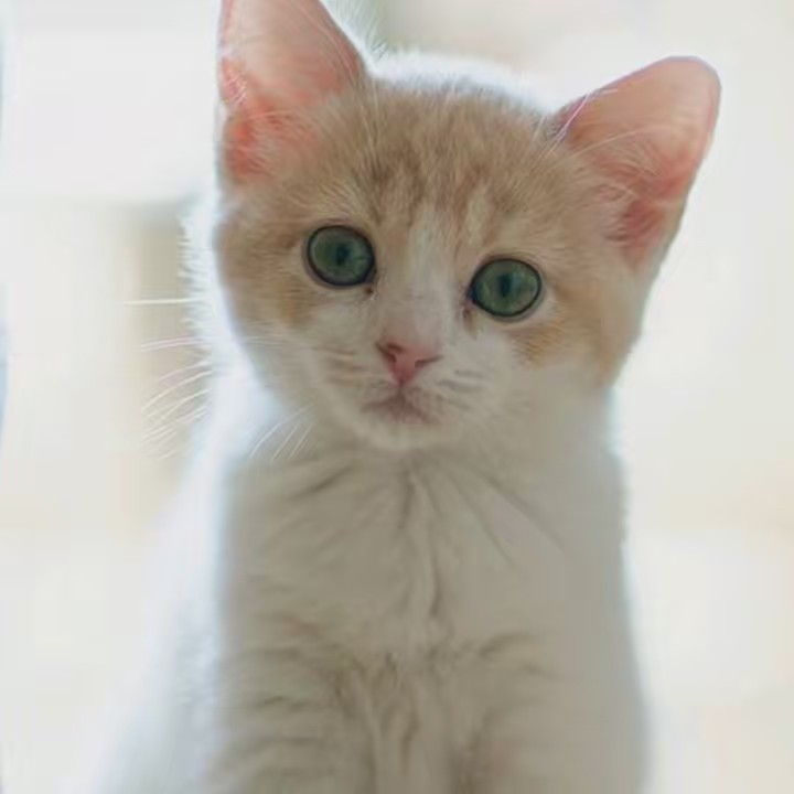 💞 نواال🦋٢