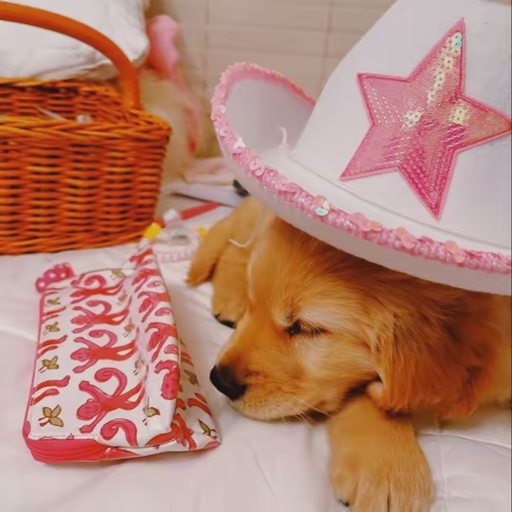 ✿ the preppy besties ✿