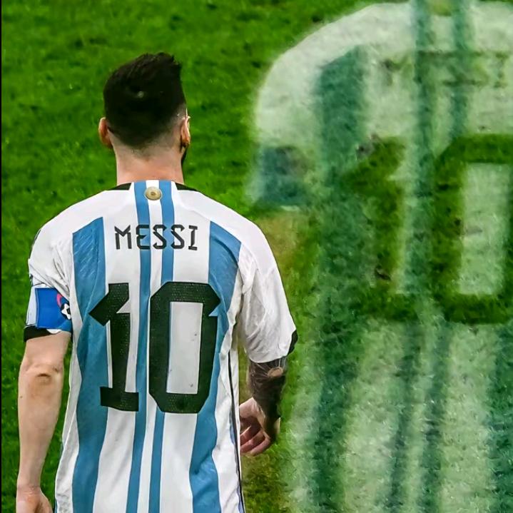 🪽🐨un ramdom 💎