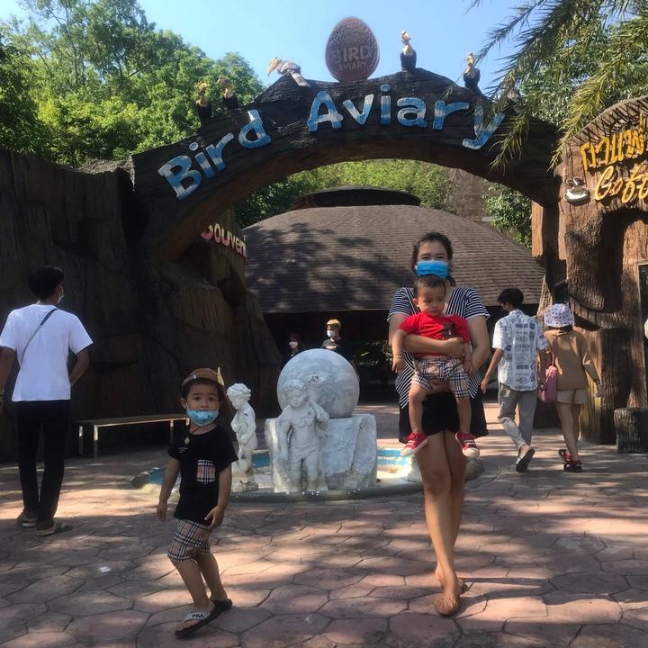 ถั่วงอกปาริชาติเจ้สุ่ยศรีราชา