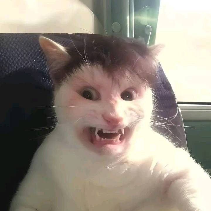 el Papu misterioso XD