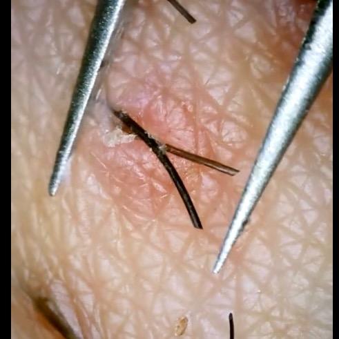 Pops 4 Your Satisfaction