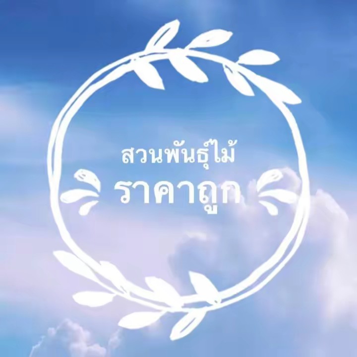 พันธุ์ไม้ราคาถูก ออนไลน์