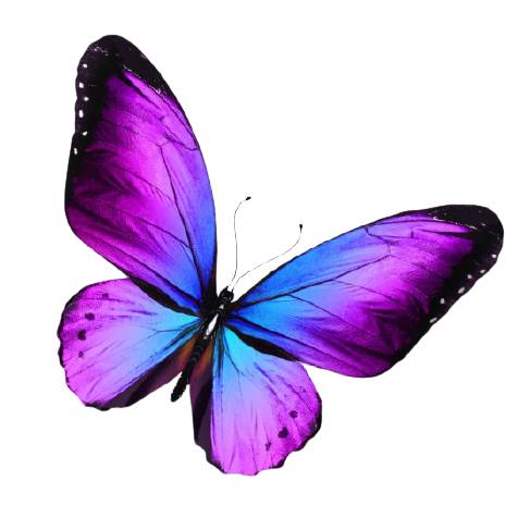 ❤︎✨DE TODO UN POCO ✨❤︎