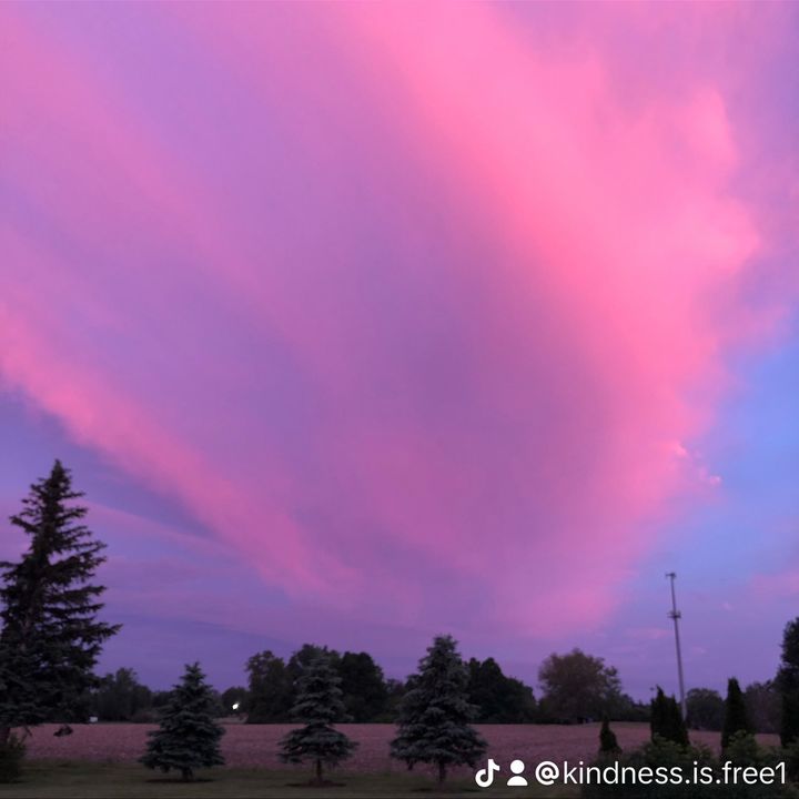 KiNdNeSs Is FrEe ❤️