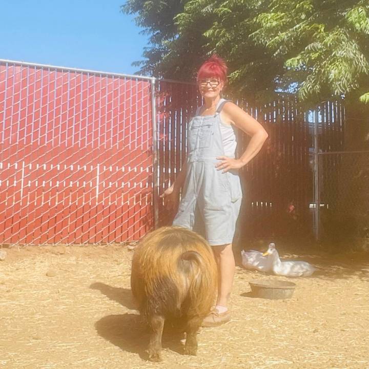 Quirkyfarmingsanctuary