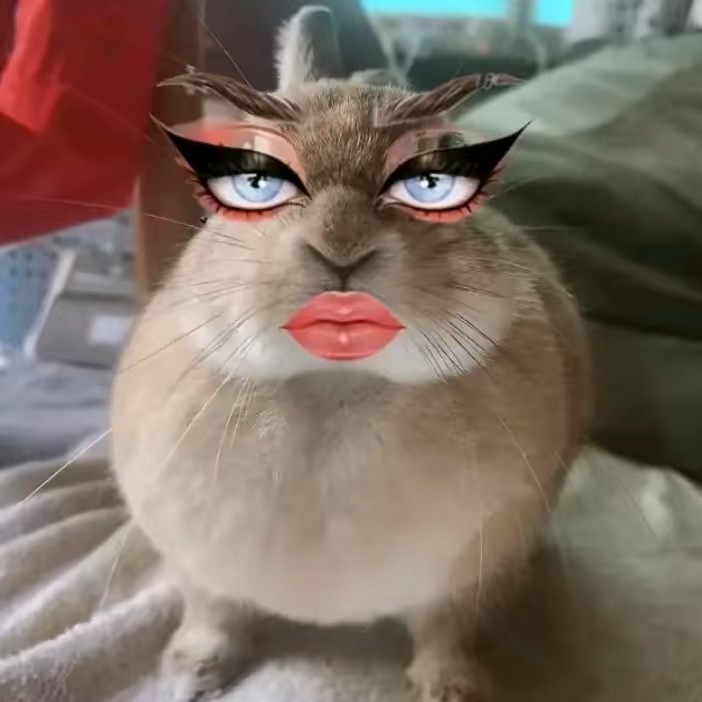 𓀞ℭ❍ρζℰℜ ꜱζɑℜ 𓀦