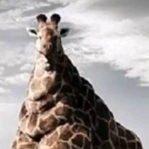 user99000698011112345