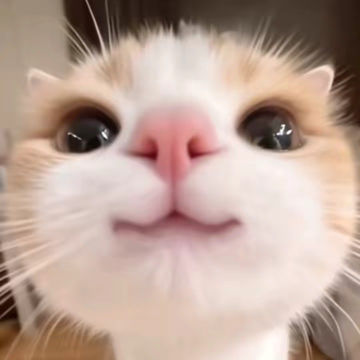 💎美味しい豆富屋さん💎