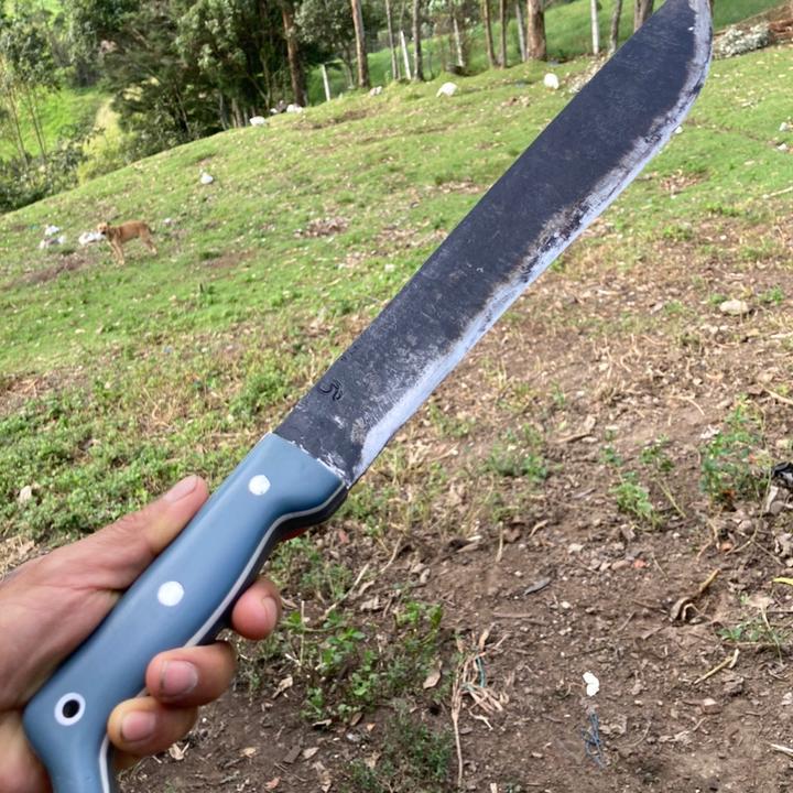 Gavilanes Darwin Knives