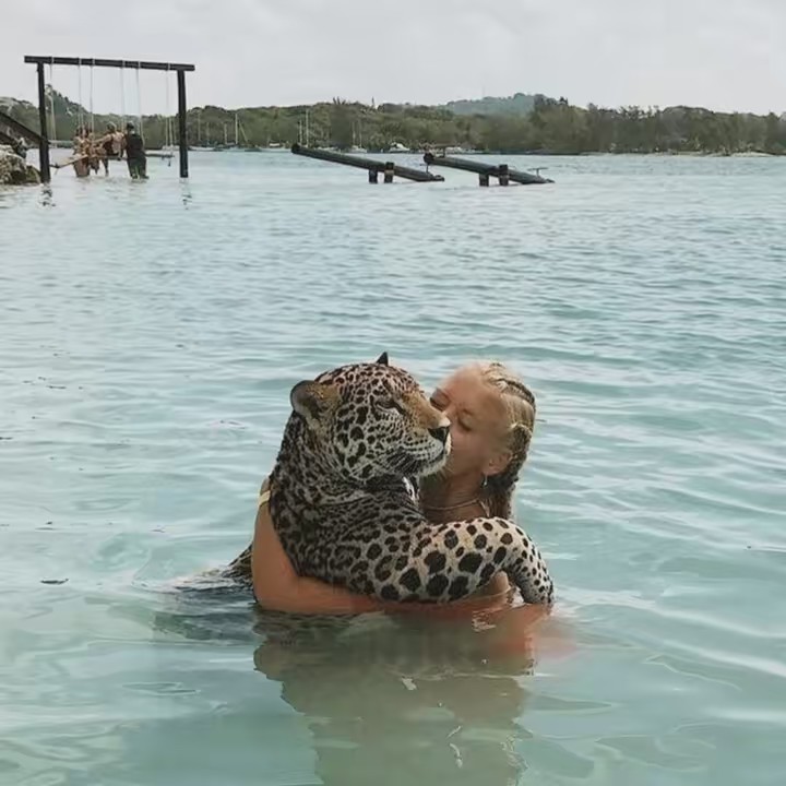 ∂αρниє!•🫶🏻