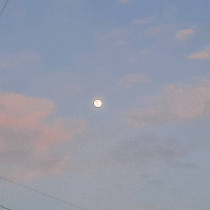 ᐯIᑕ丅ᗝᖇIᗩ