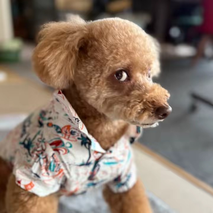 👑masao702🐻Ⓜ️🎧