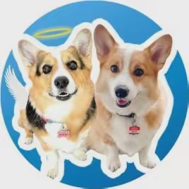 Hammy & Olivia Corgi
