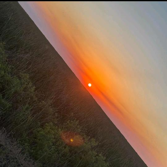 🇸🇻 aquí humilde mente 💚🦅