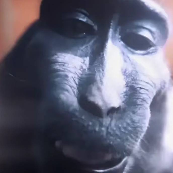 🕋ed🌎🫸🏳️‍🌈🏳️‍⚧️🏳️‍🌈