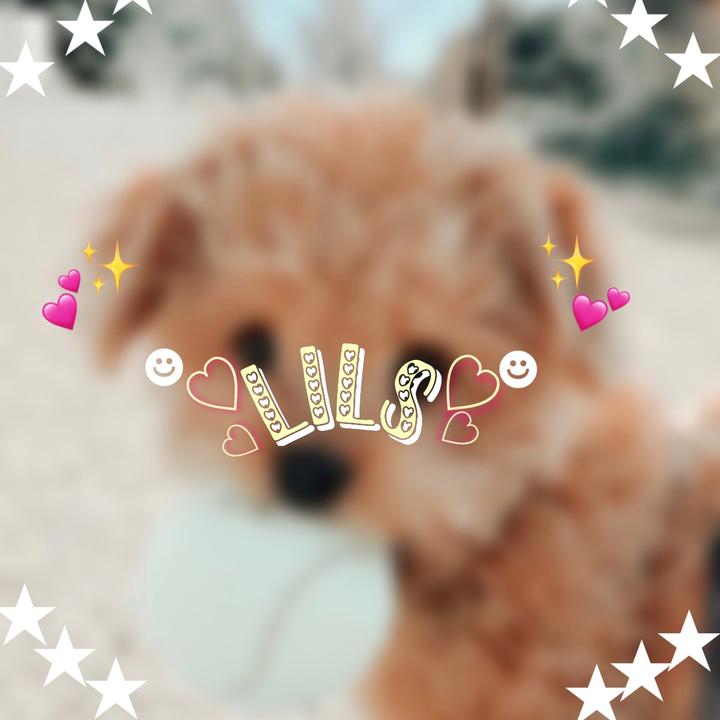 𝐋𝐢𝐥𝐬♡︎